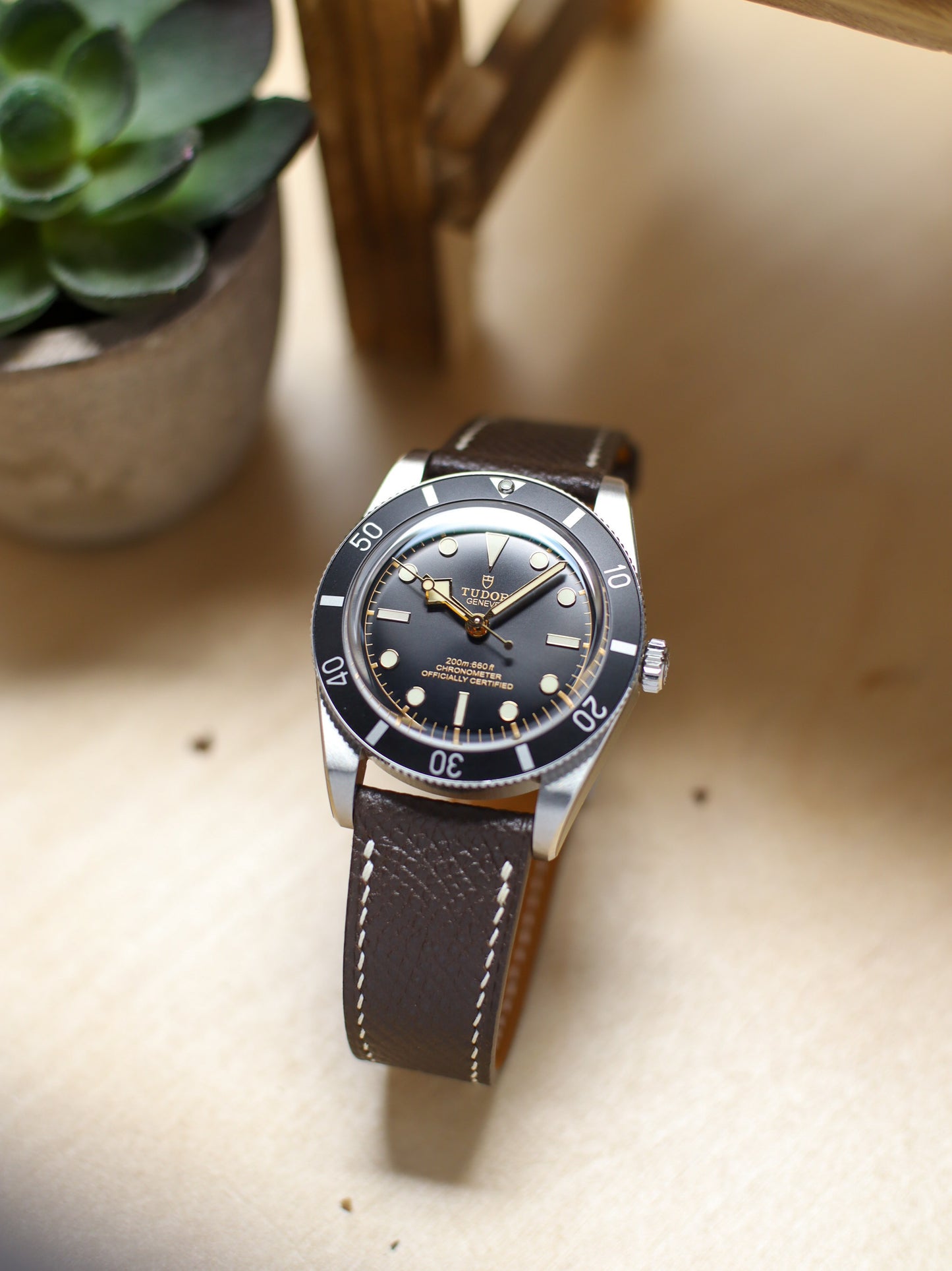 Dark Brown Epsom Lean Strap