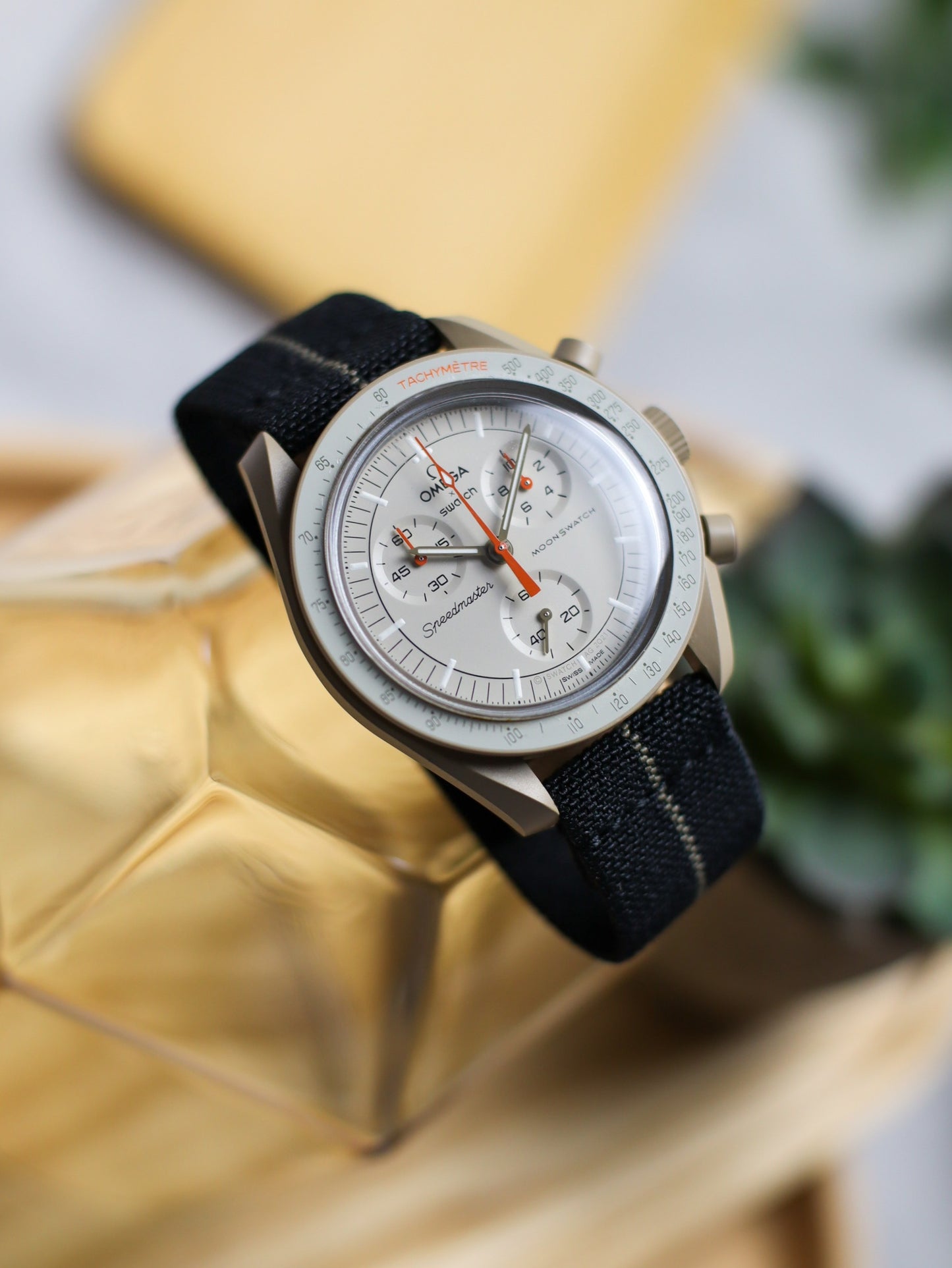 Classic Black/Khaki Elastic Band