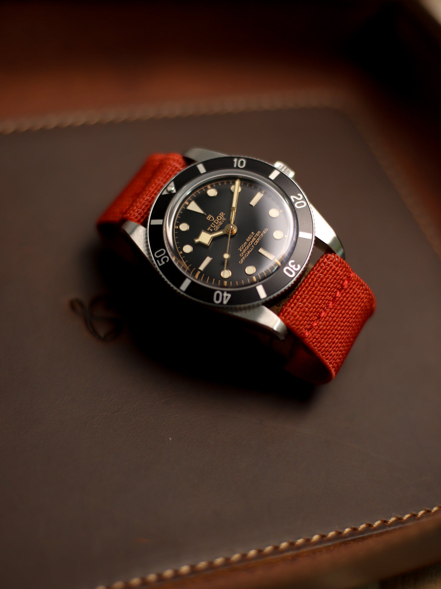 Crimson Red Elastic Band