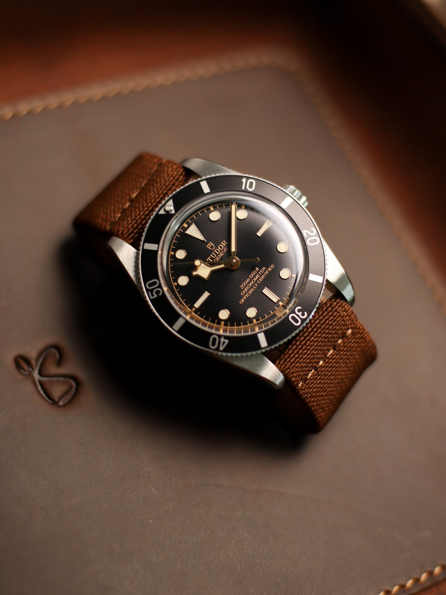 Dark Brown Elastic Band