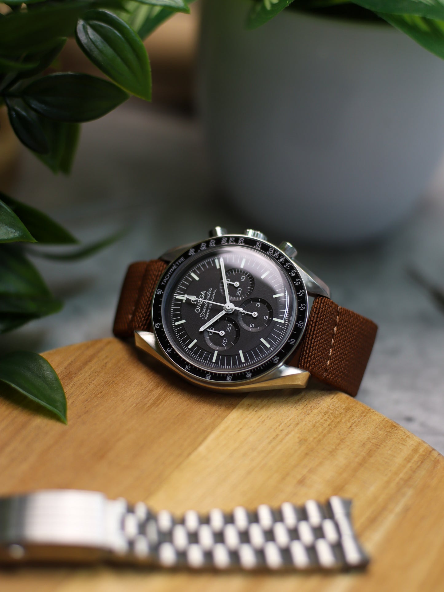 Dark Brown Elastic Band