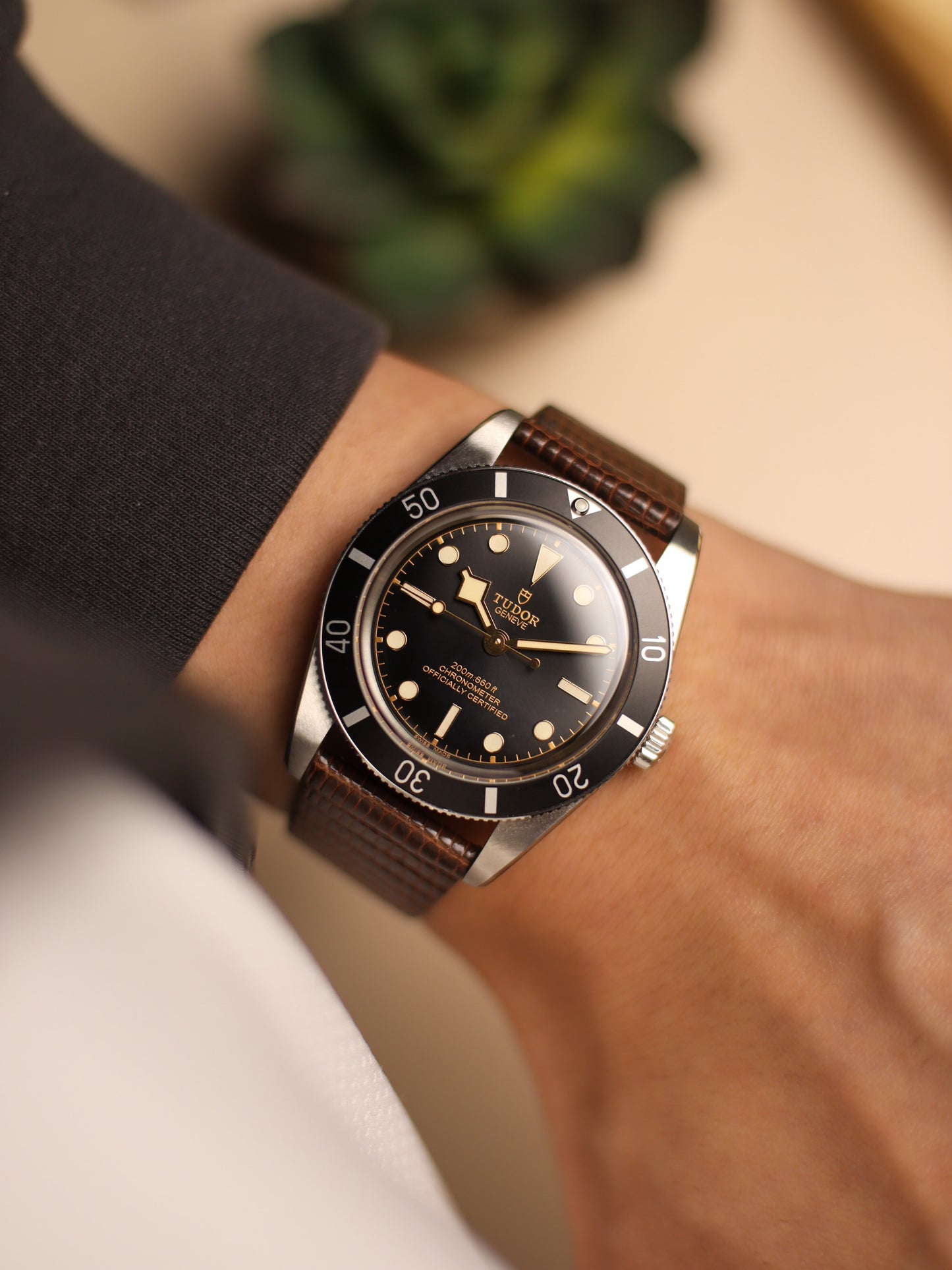 Dark Brown Lizard Stitchless Strap