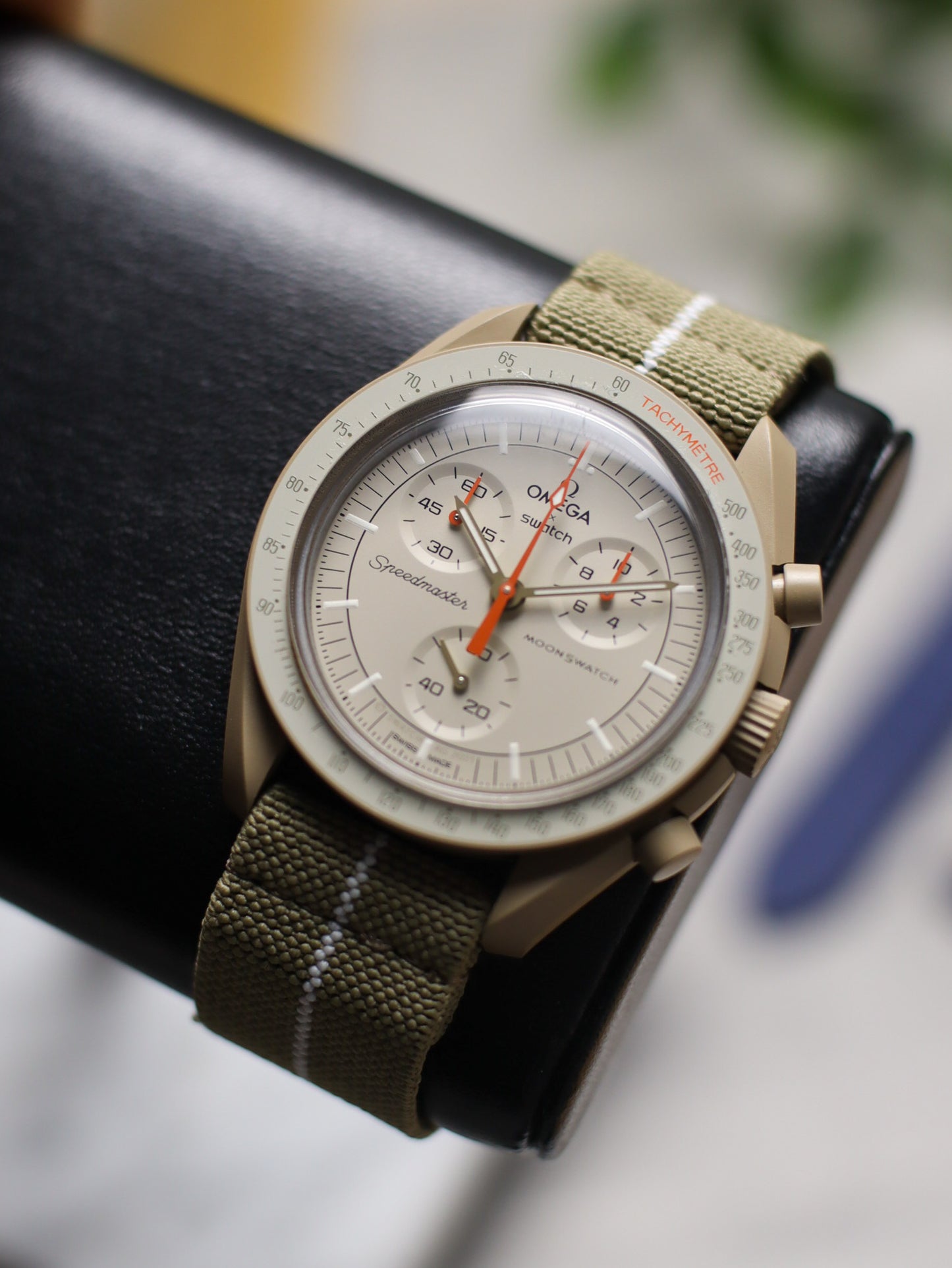 Khaki/White Elastic Band