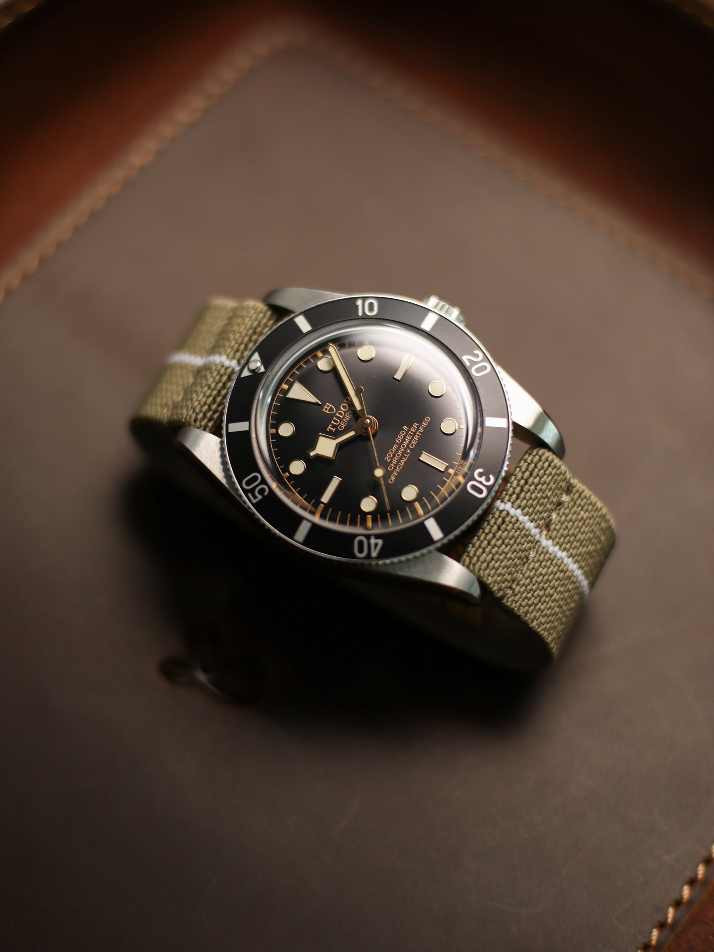 Khaki/White Elastic Band