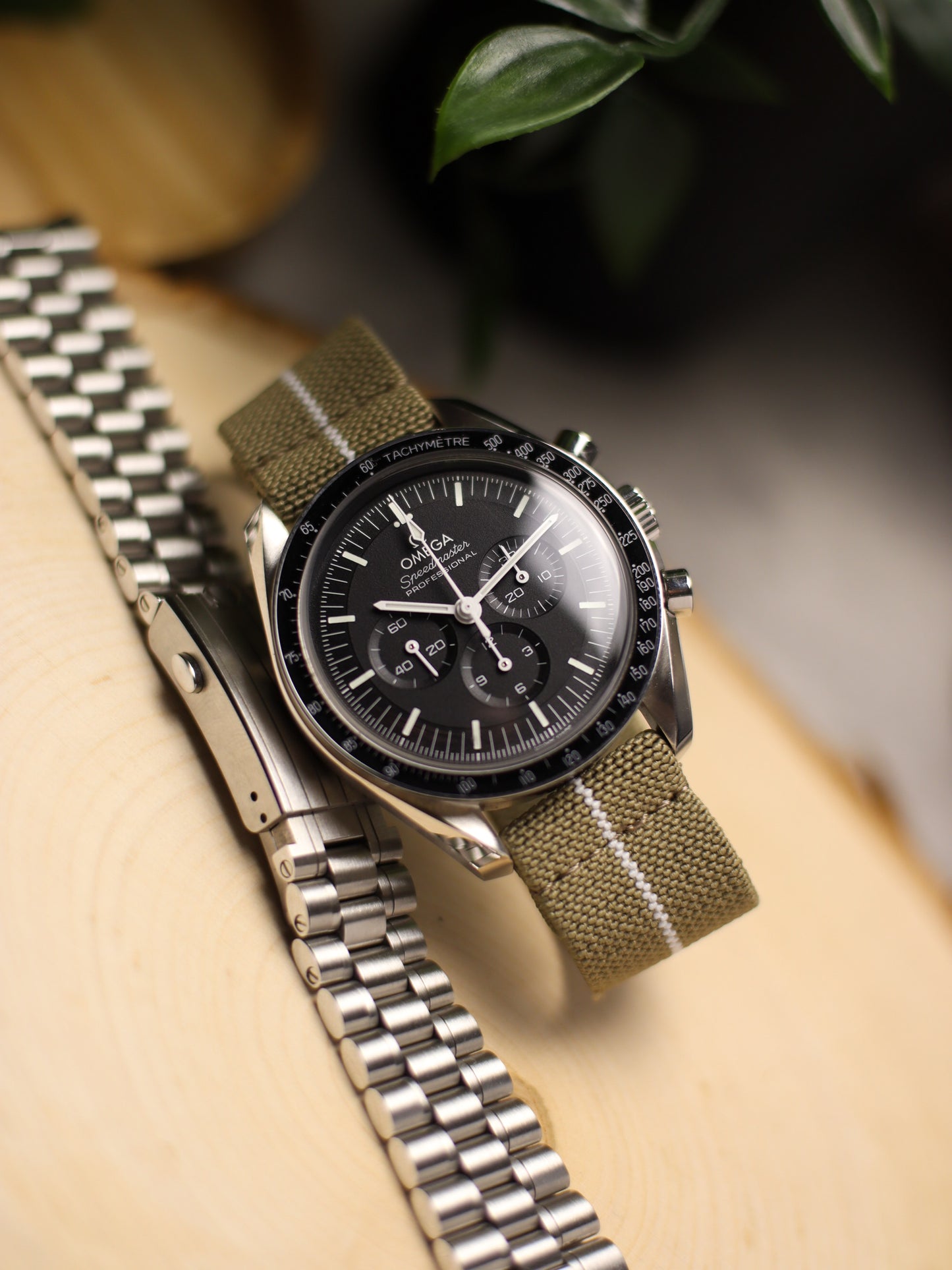 Khaki/White Elastic Band