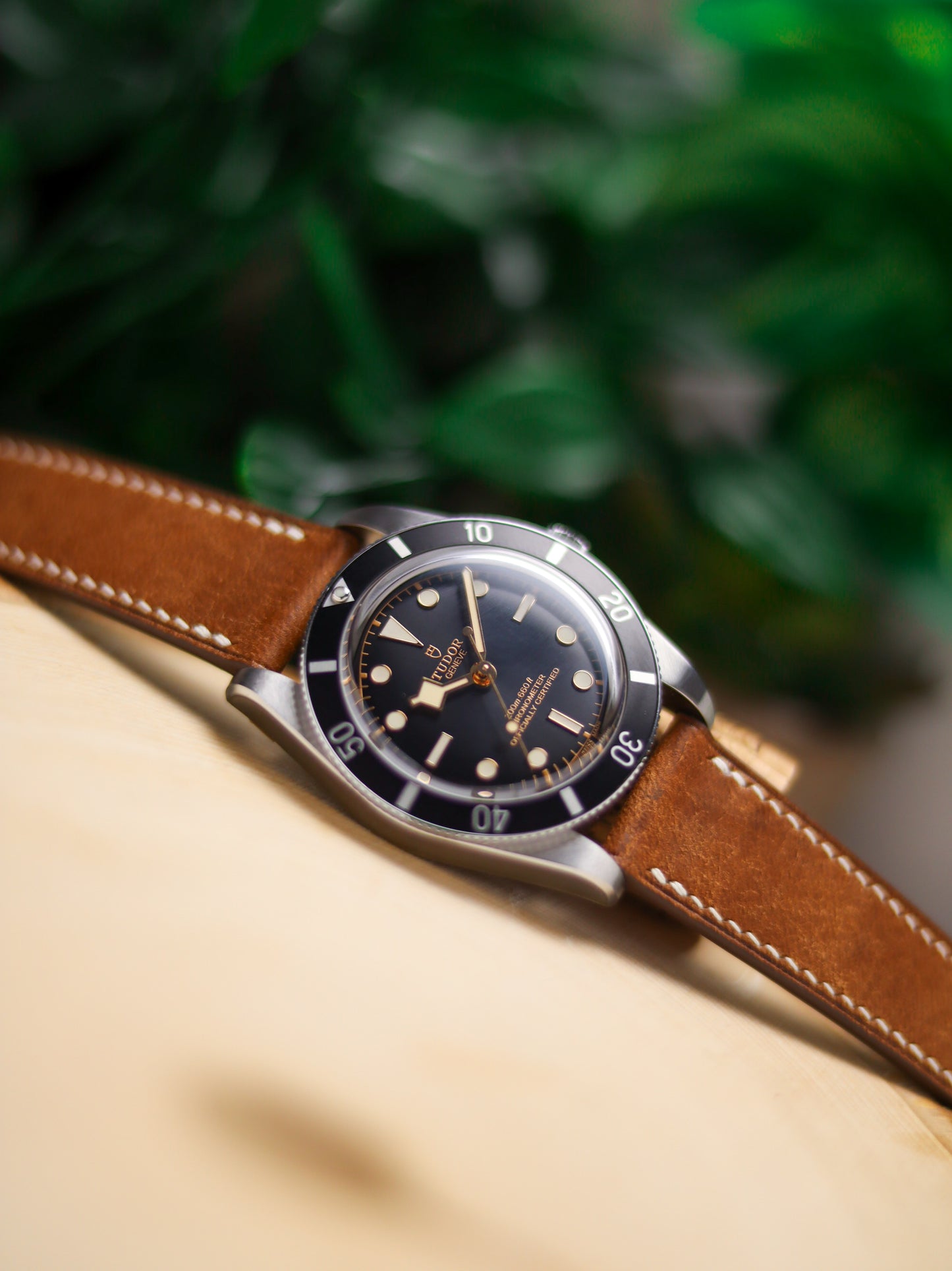 Light Brown Pueblo Lean Strap