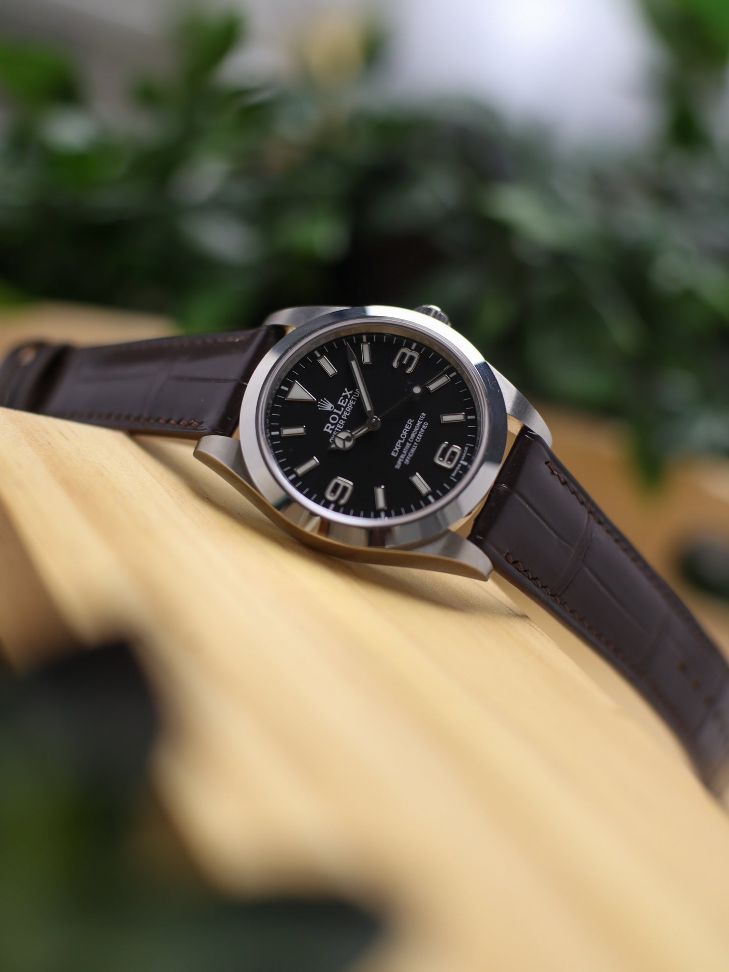 Matte Dark Brown Alligator Hallmark Strap