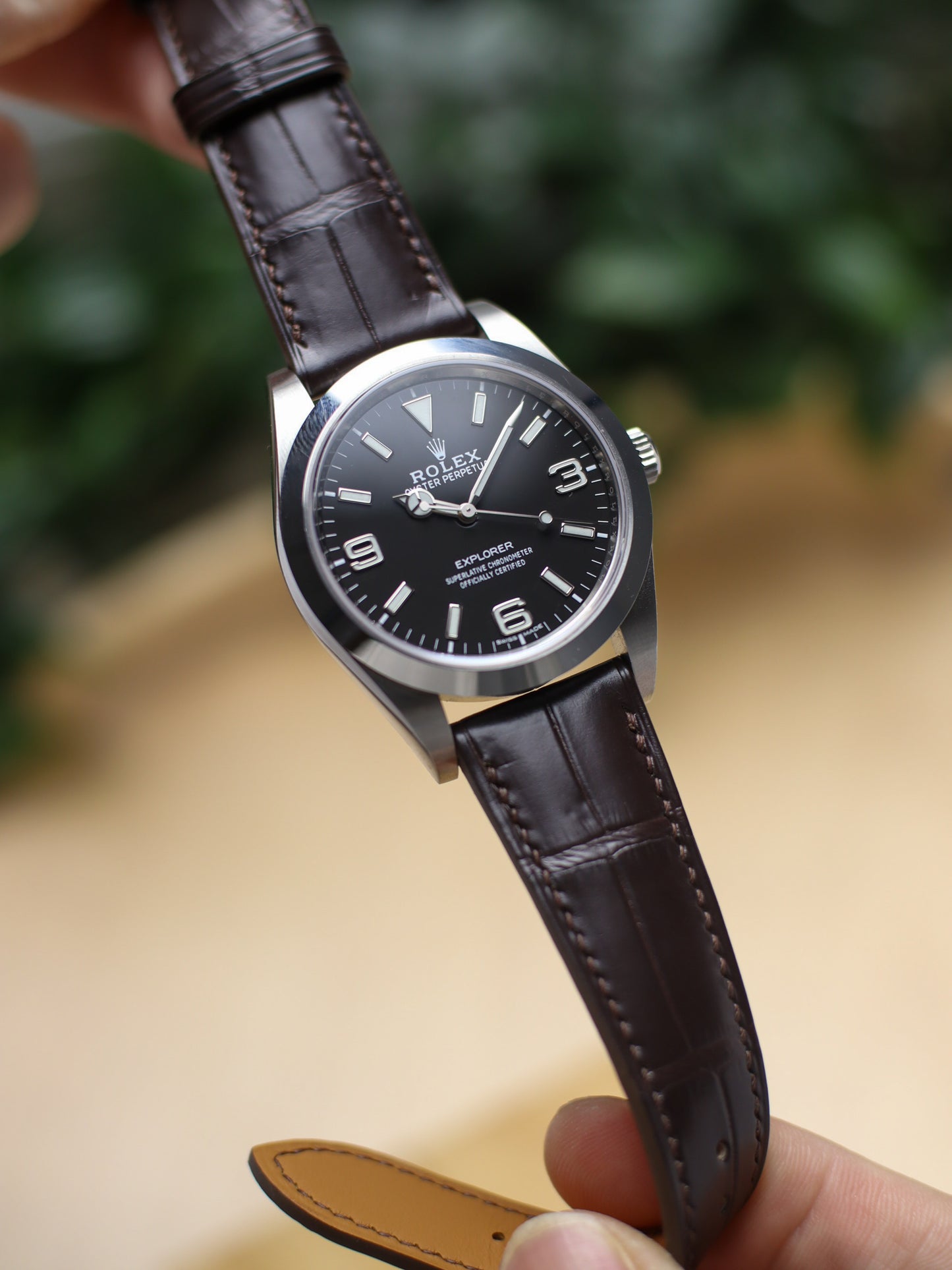 Matte Dark Brown Alligator Hallmark Strap