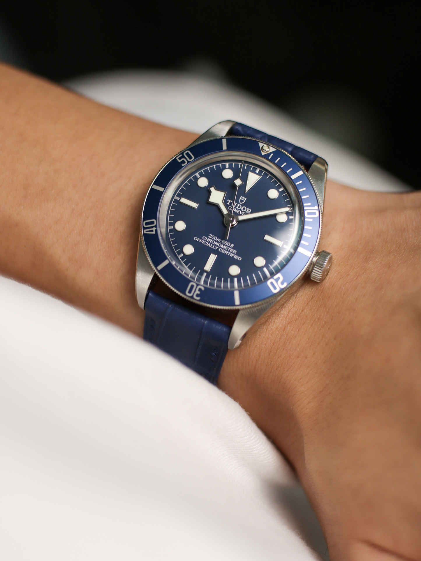 Matte Navy Blue Alligator Hallmark Strap