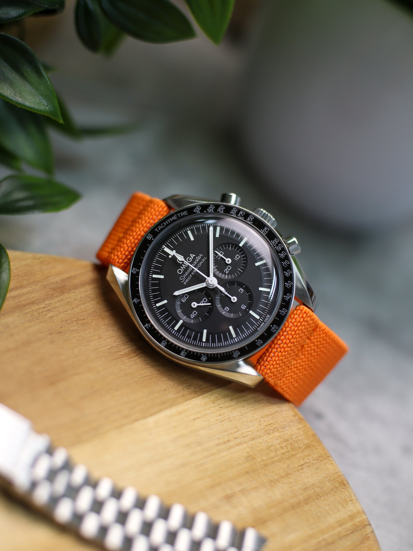 Sunkissed Orange Elastic Band