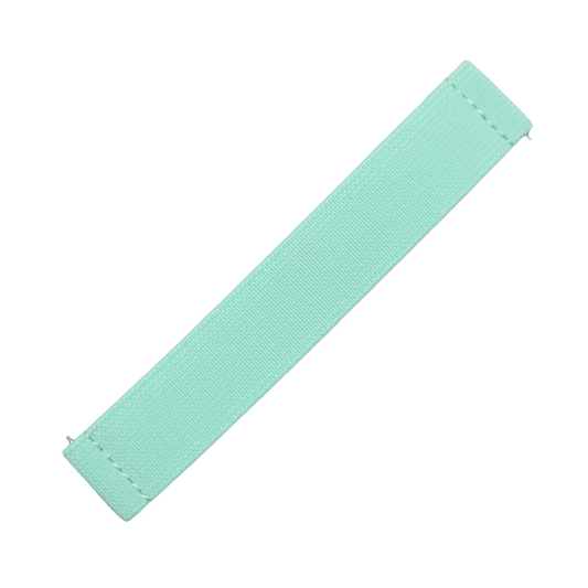 Tiffany Blue Elastic Band