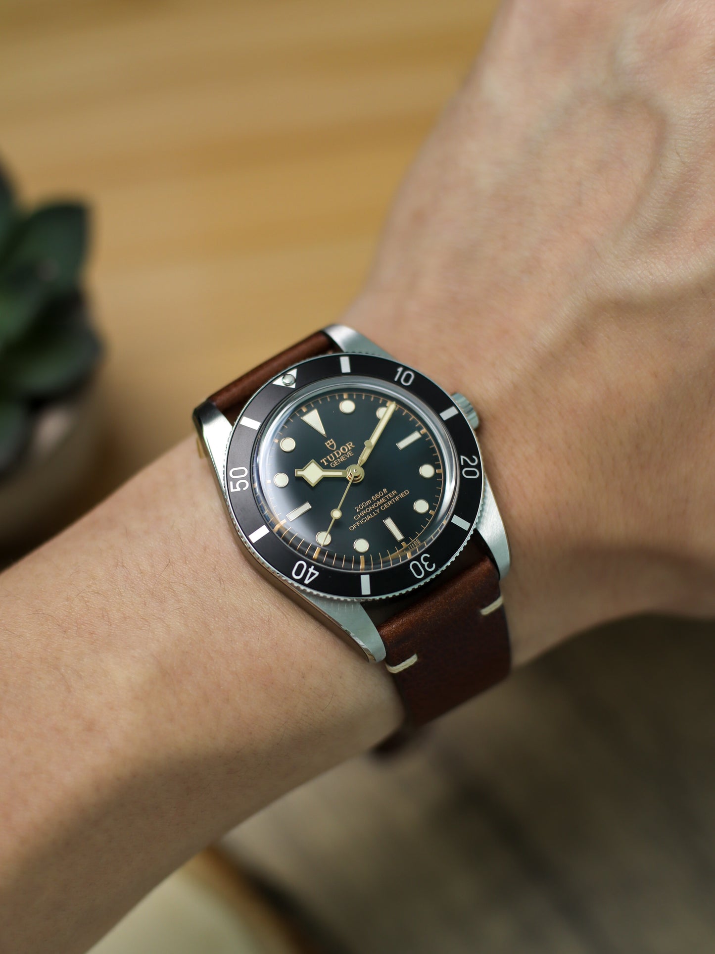 Vintage Dark Brown Vachetta (Minerva Box) Point-Stitch Strap